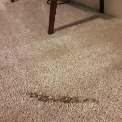 Carpet Burn Repair Ipswich