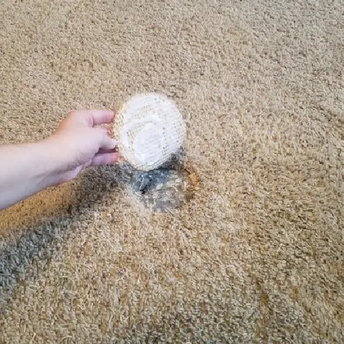 Carpet Hole Repair Ipswich